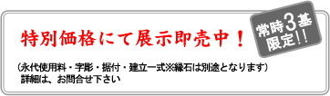 あま石材、満成寺特別分譲価格